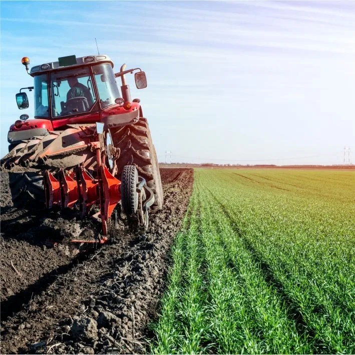 Calcário Agrícola
